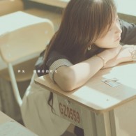 word官方下载免费版电脑版2024